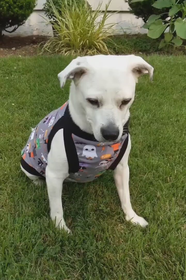 Colorful Dino Skulls Dog Pajamas