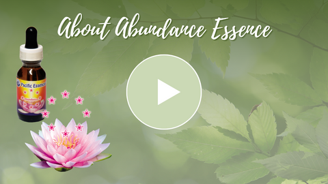 Abundance Essence Video