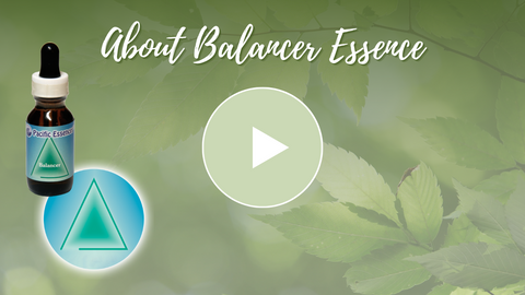 Balancer Essence Video