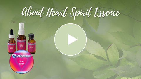 Heart Spirit Essence Video