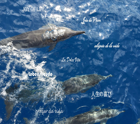 Pacific Essences Dolphin Sea Essence
