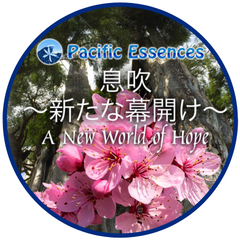New World of Hope Essence