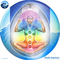 Pacific Essences Goddess Learning Tool