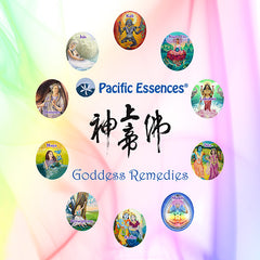 pacific essences goddess remedies kit