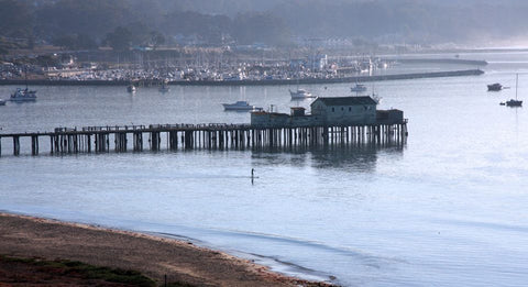 dock in harbor