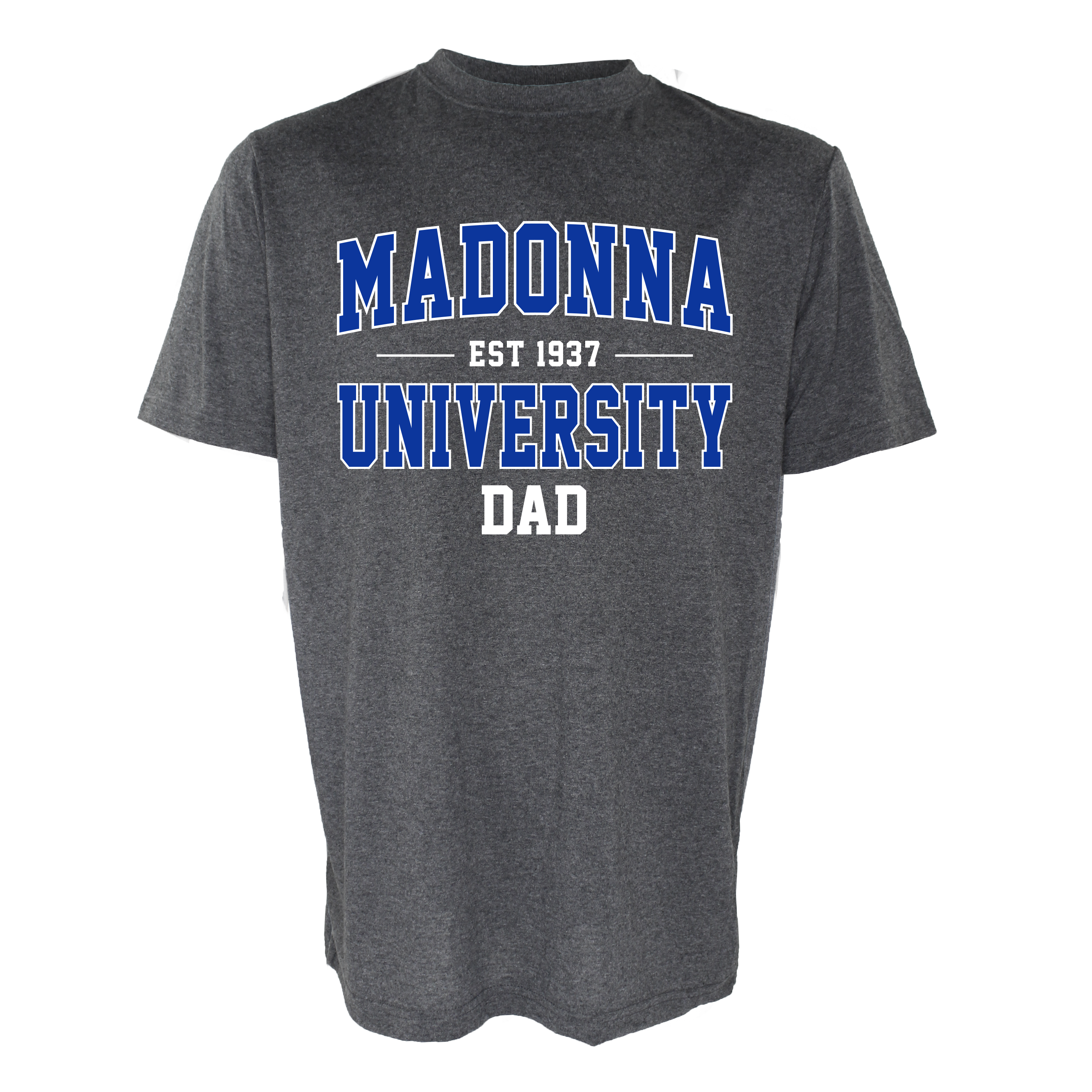 Name Drop Dad Tee, Graphite - Madonna Campus Store product image