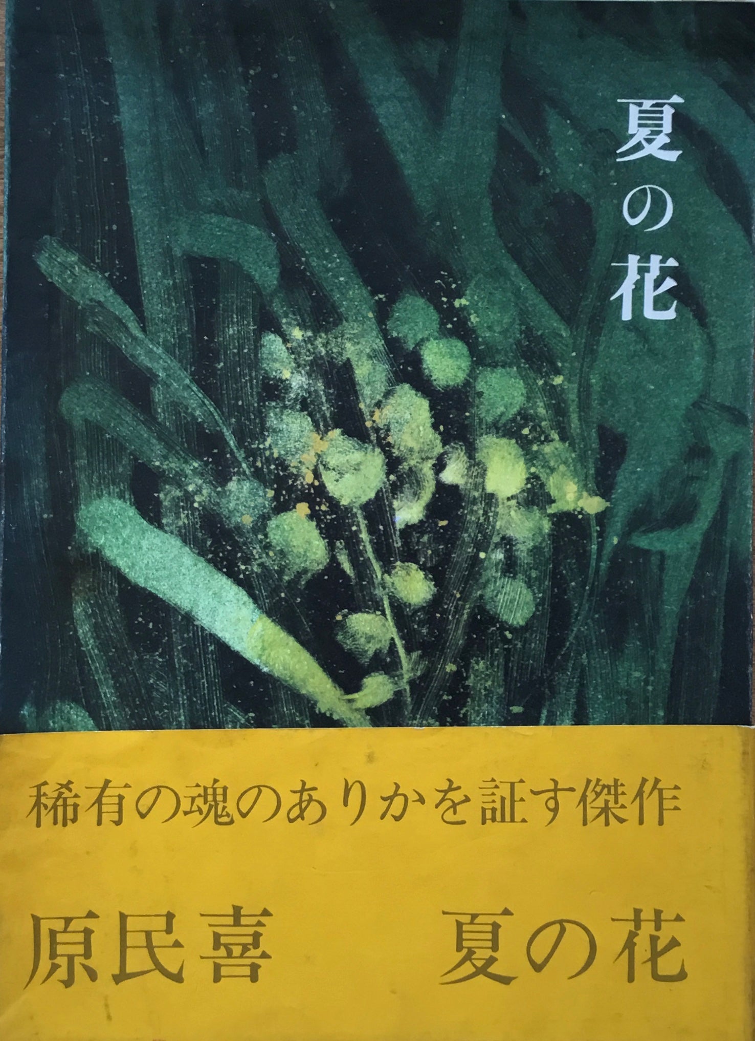 稀有の花 最適な価格 49.0%割引 sandorobotics.com