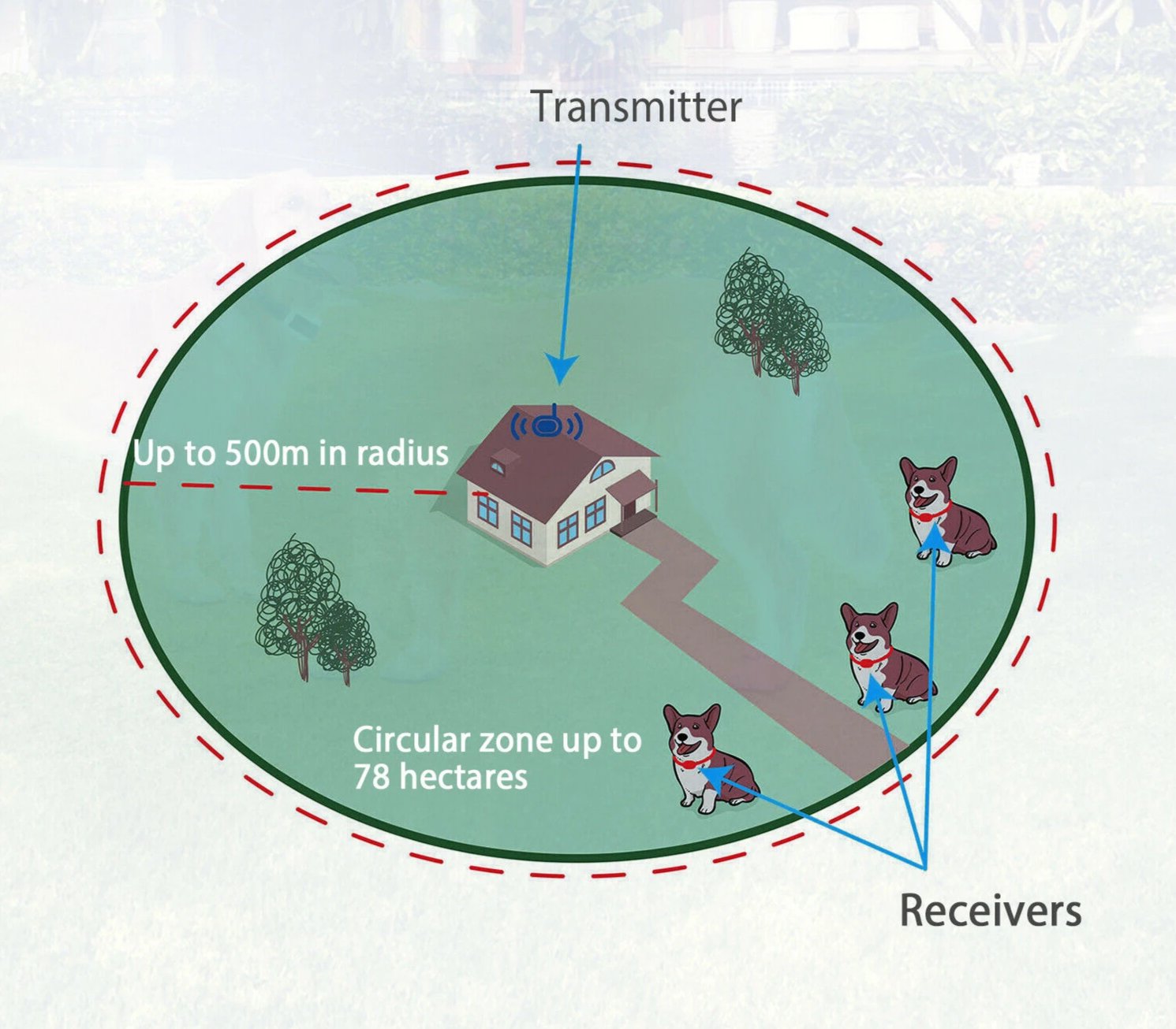 wireless pet fence