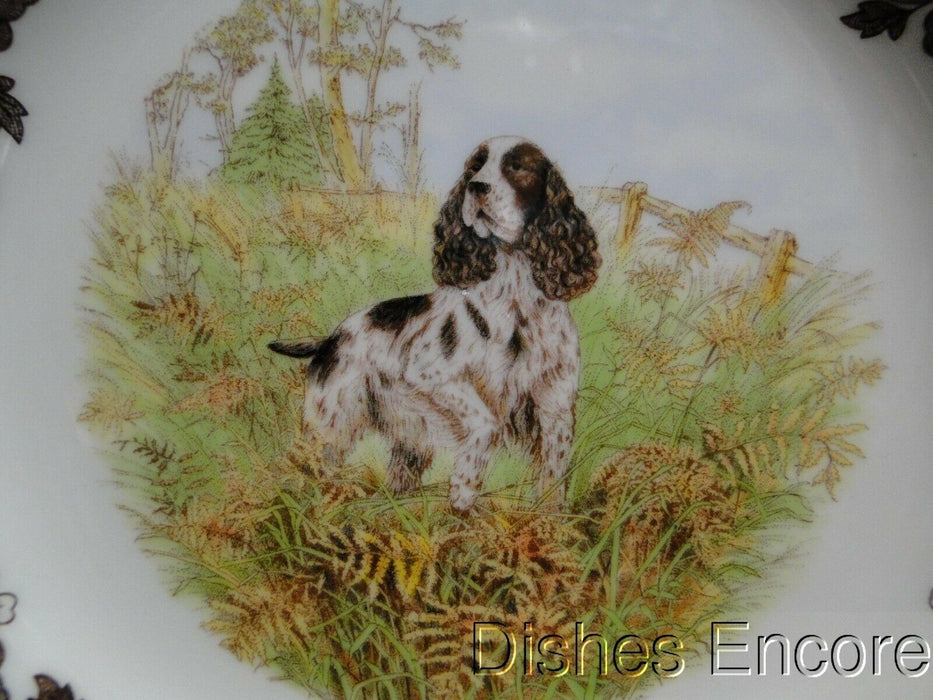 Spode Woodland English Springer Spaniel Hunting Dog: NEW Salad Plate, Box