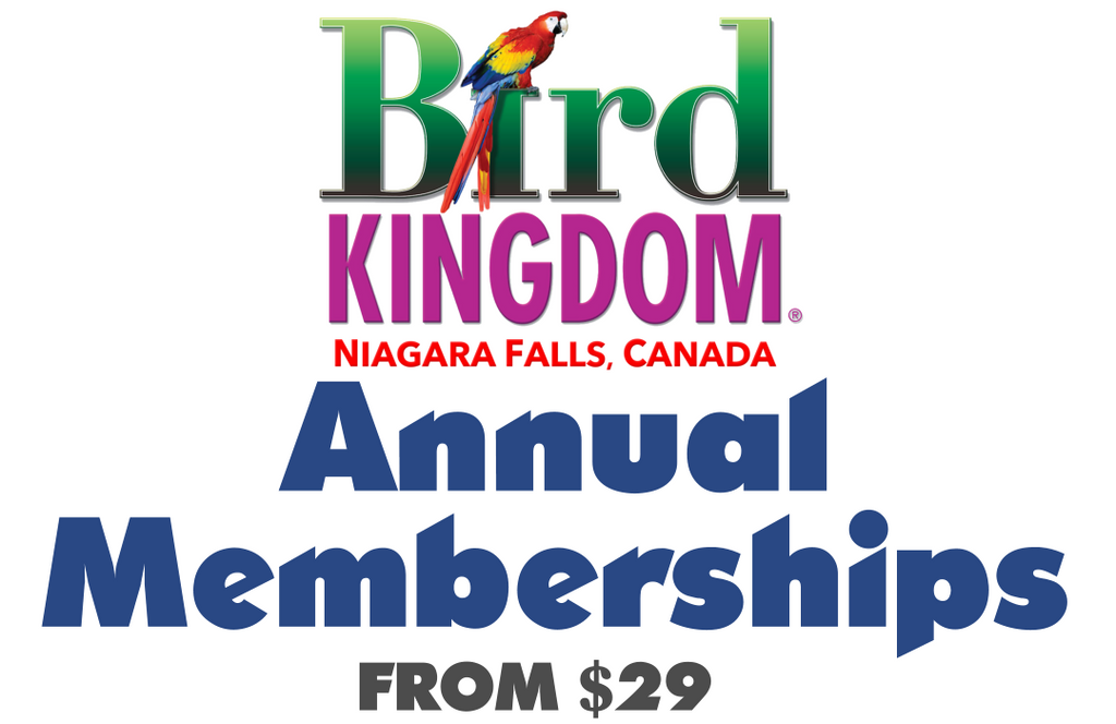 Tickets Bird Kingdom Giftstore