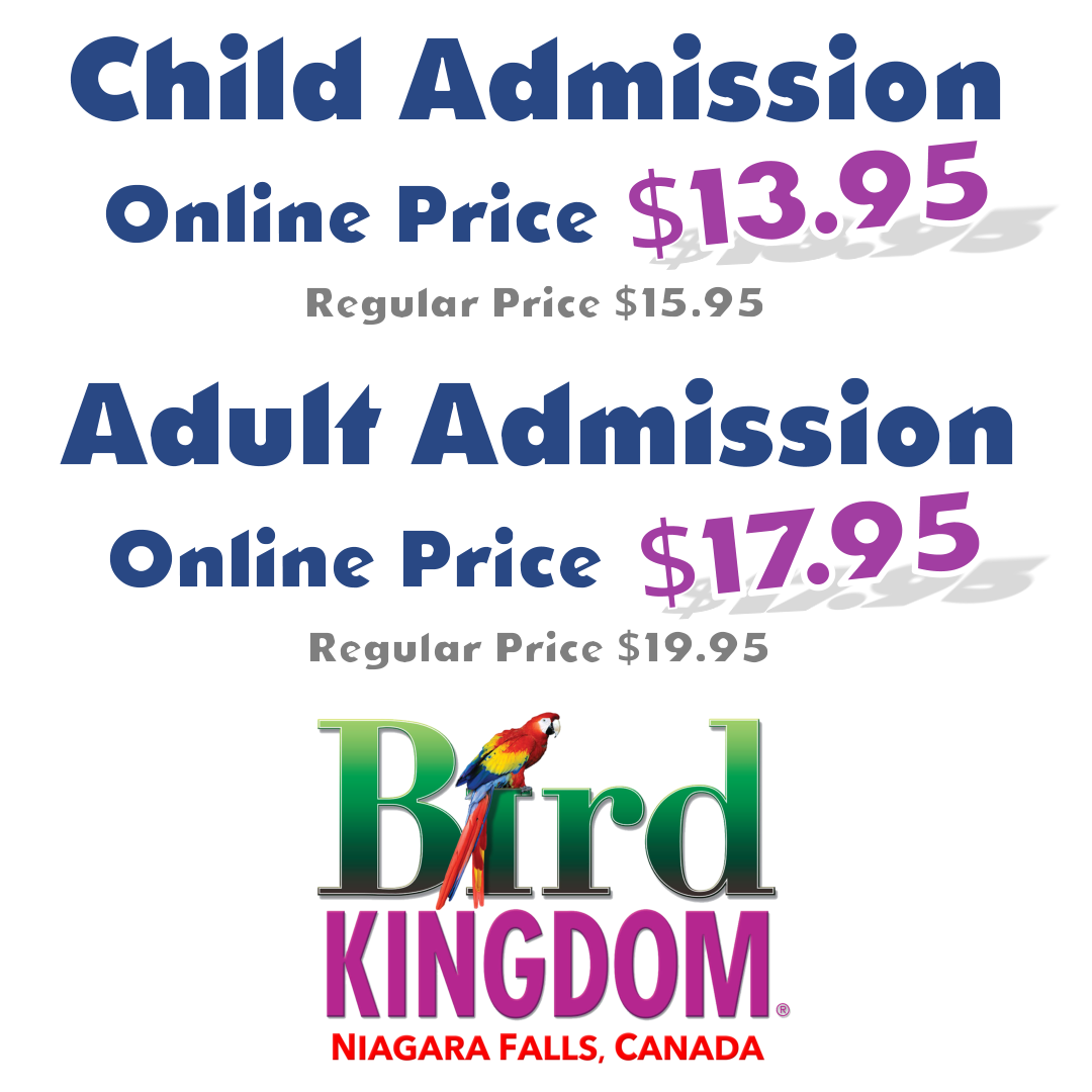 Bird Kingdom Admission Bird Kingdom Giftstore