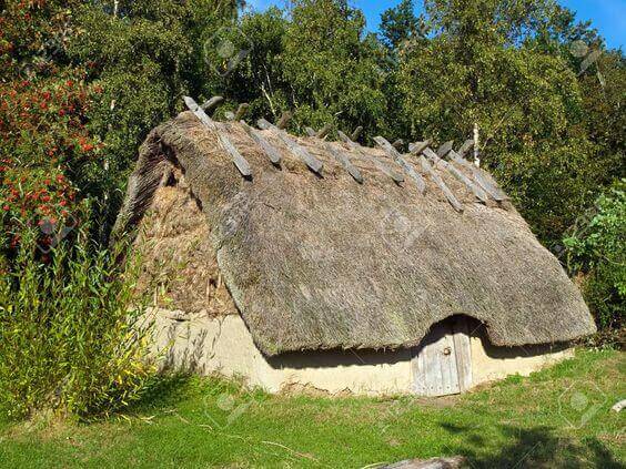 casa vikinga rustica