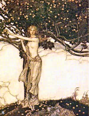 freyja arbol