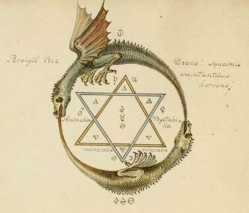 gnostica ouroboros