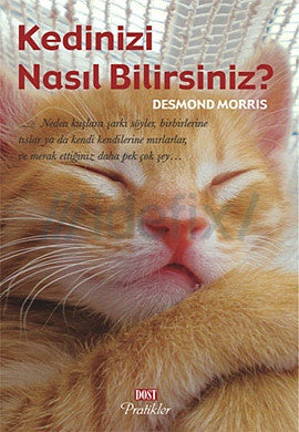 Kedi Bakimi Ile Ilgili Kitaplar Evdekedivar