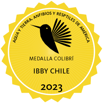 premio medalla colibri 2023