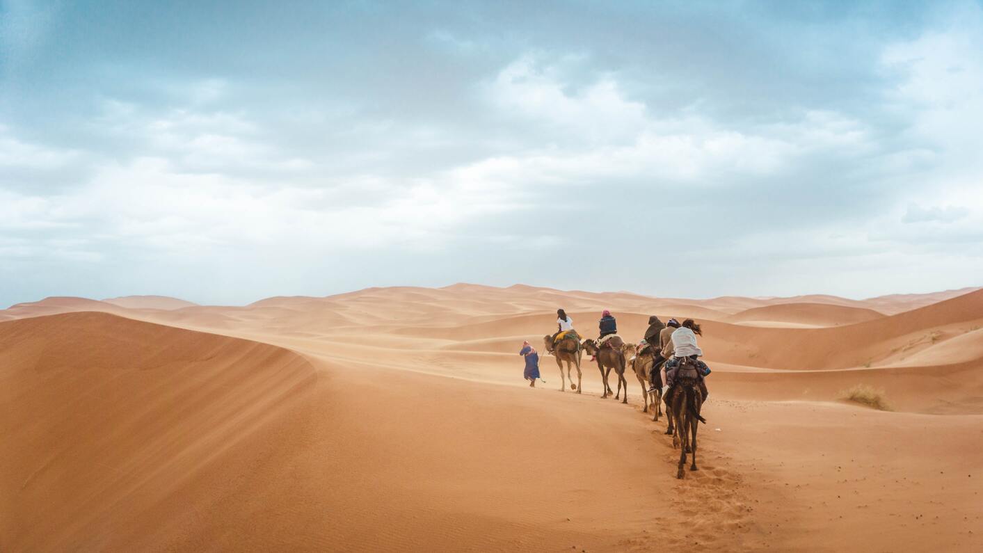 balade chameau maroc