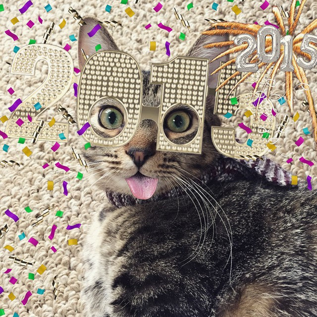 Catscarf Happy New Year