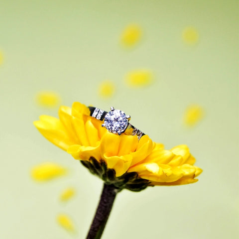 Anillos de compromiso precios; Flor amarilla sosteniendo un delicado anillo de compromiso 
