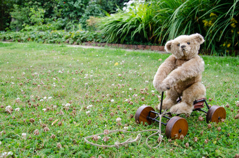 grandma's teddy bear museum