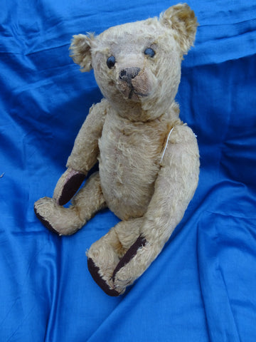 German Steiff – Grandma's Teddies