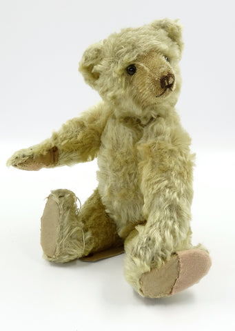 farnell teddy bears