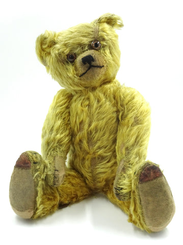 omega teddy bear