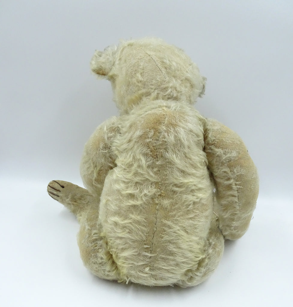 (1920) Steiff Button Penchant Sold £440 – Grandma's Teddies