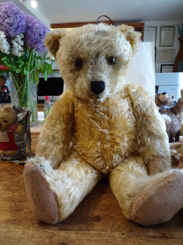 teddy bear bedding argos