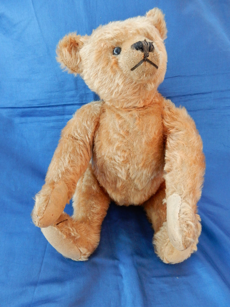 SOLD (1910) Steiff Button Cotty. For Sale £1950 – Grandma's Teddies