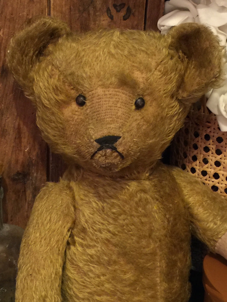 wilson teddy bear