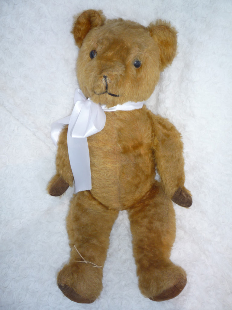 pedigree teddy bear 1950s