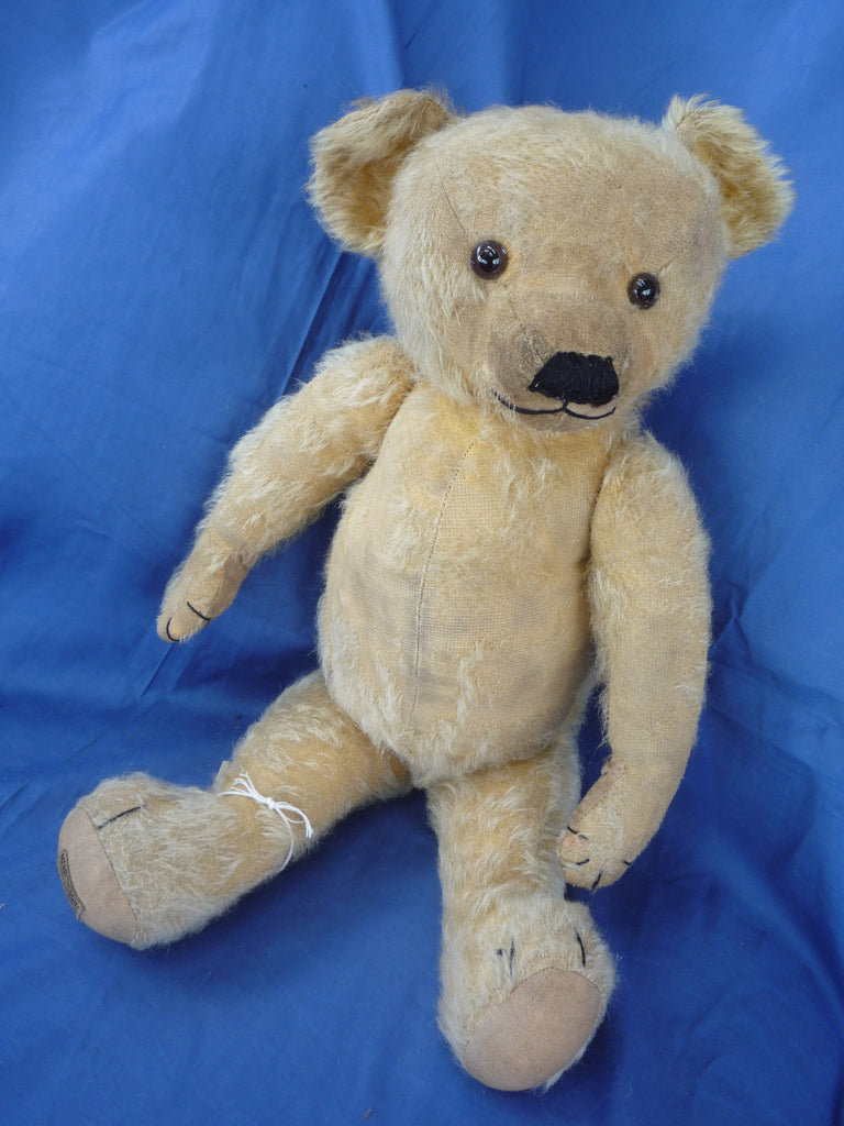 SOLD (1930) A Wishbone Button Magnus £185 – Grandma's Teddies