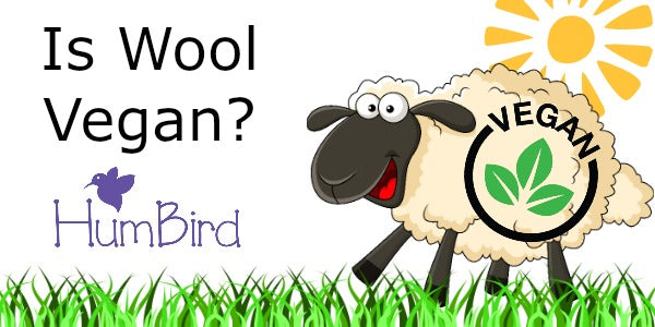 Is Wool Vegan?