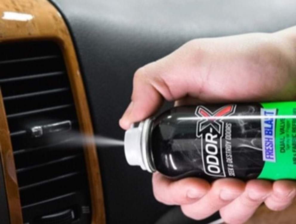 How to Remove Dog Odor from Car: Fresh Ride Tips