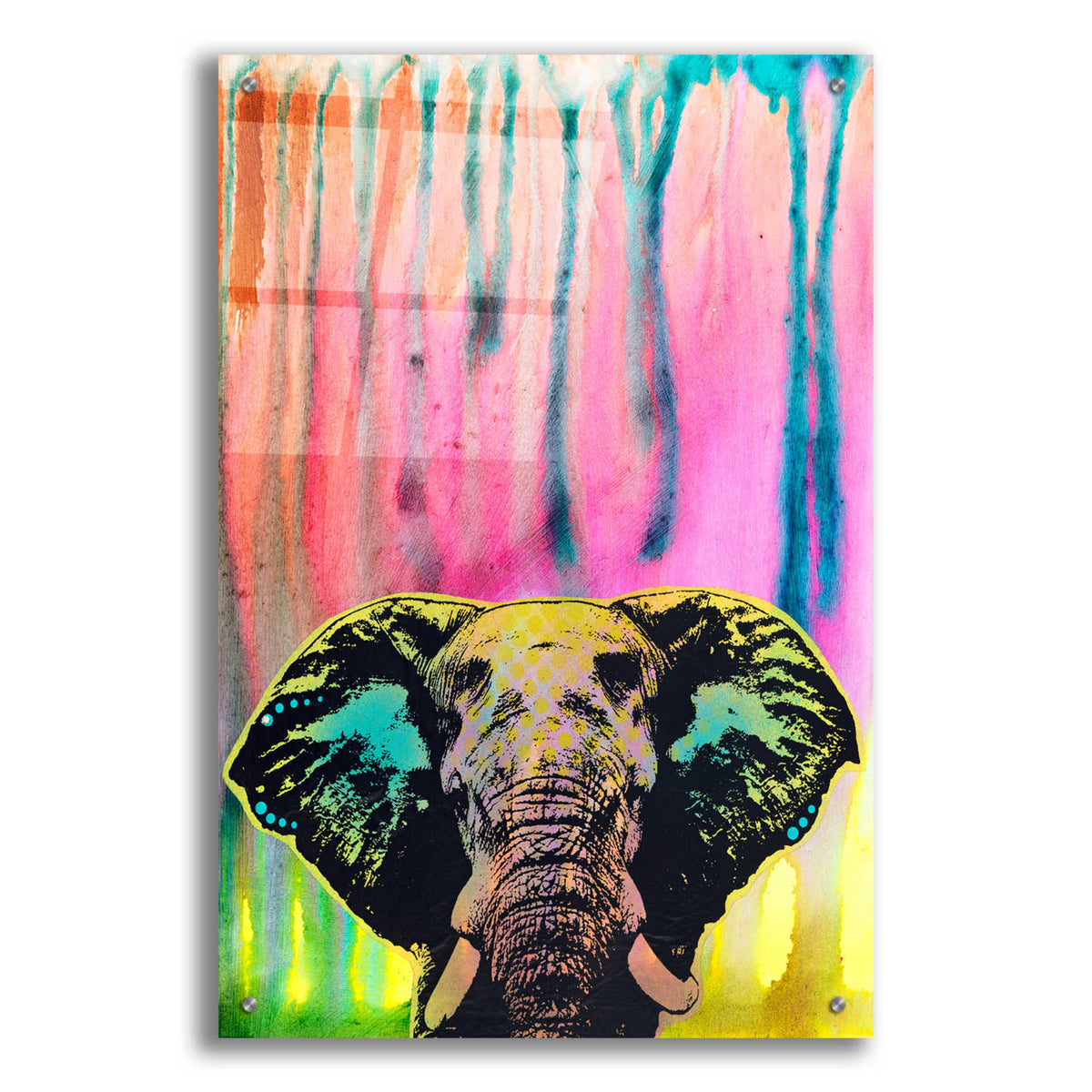 Epic Art &#39;Elephant 3&#39; by Dean Russo, Acrylic Glass Wall Art,24x36