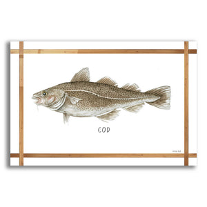 Epic Art 'Cod on White' by Cindy Jacobs, Acrylic Glass Wall Art,24x16