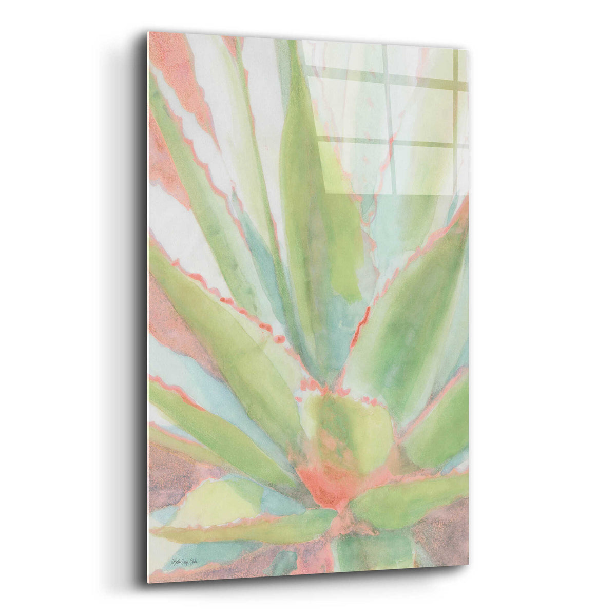 Epic Art &#39;Succulent Bloom 1&#39; by Stellar Design Studio, Acrylic Glass Wall Art,16x24