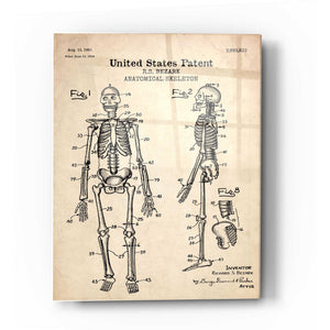 Epic Art 'Anatomical Skeleton Blueprint Patent Parchment' Acrylic Glass Wall Art,12x16