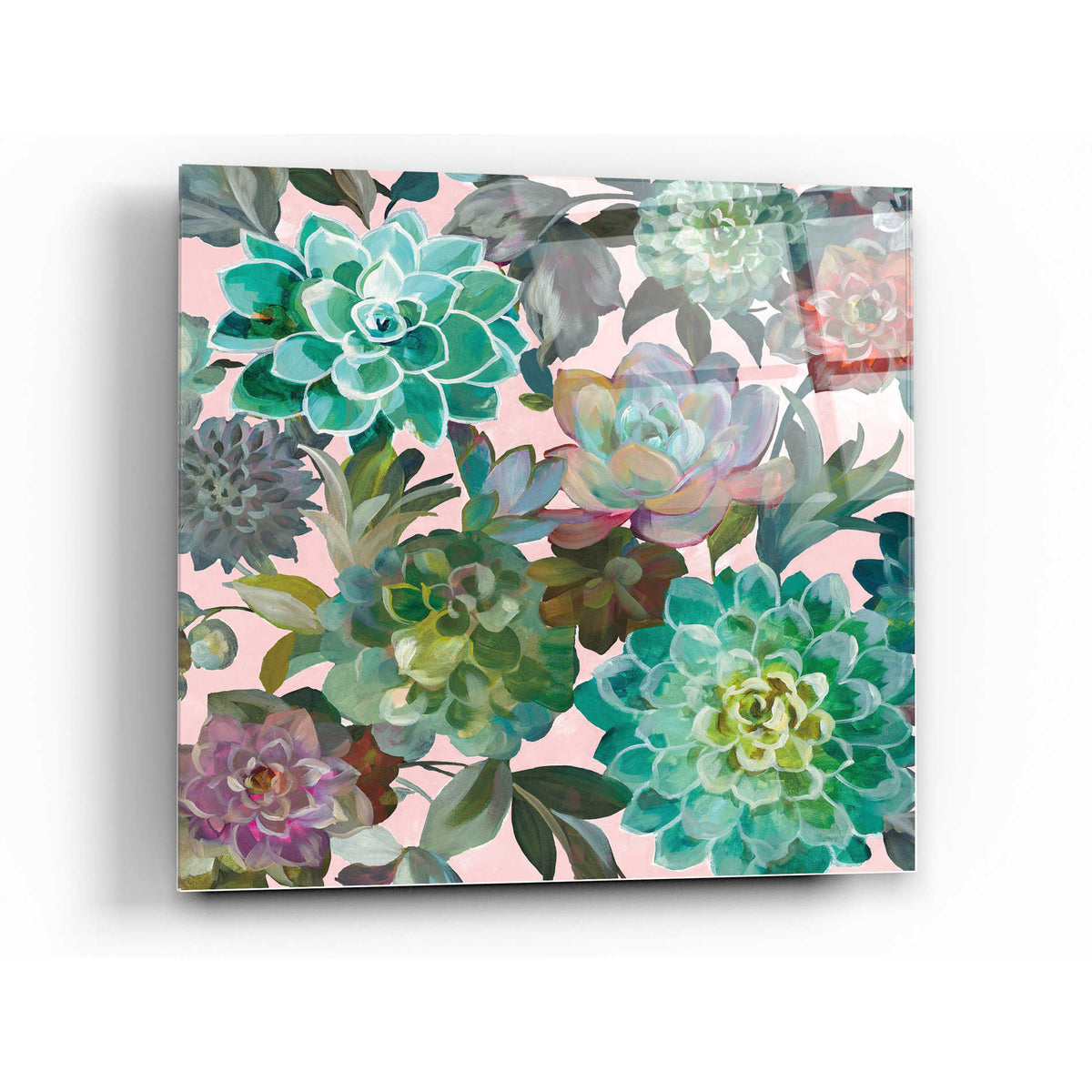Epic Art 'Floral Succulents v2 Crop on Pink' by Danhui Nai, Acrylic ...