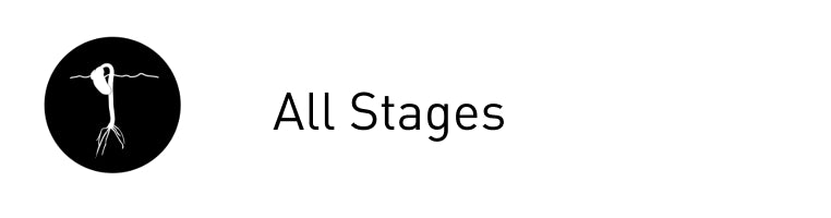 All Stages
