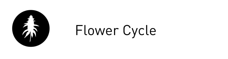 Flower Cycle