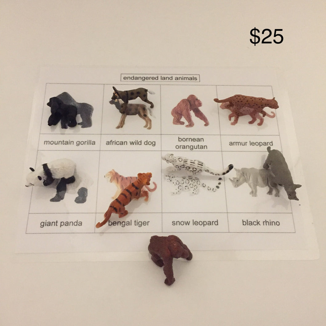 montessori-inspired-endangered-animals-activity-a-a-montessori-materials