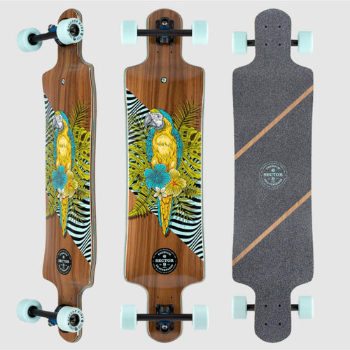 Sector 9 Fault Line Perch Longboard