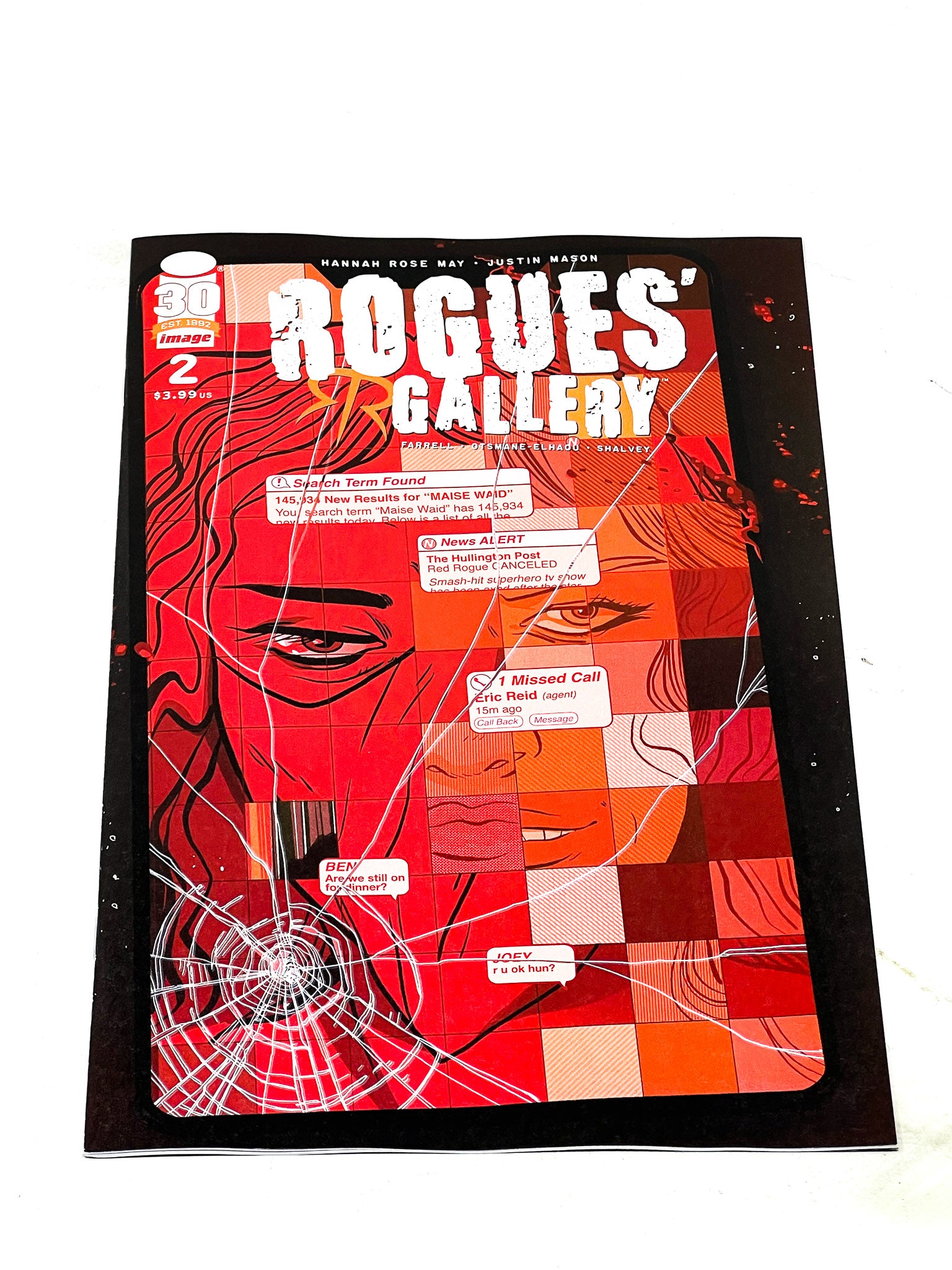 Rogues' Gallery #3 (Mason & Farrell Cover)