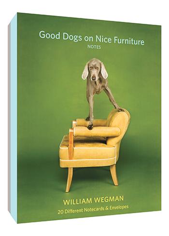 Image of Good Dogs on Nice Furniture Notes