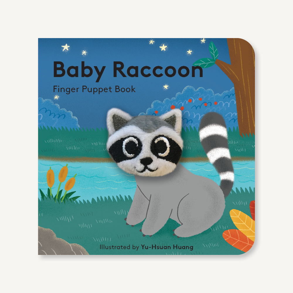 cartoon baby raccoon