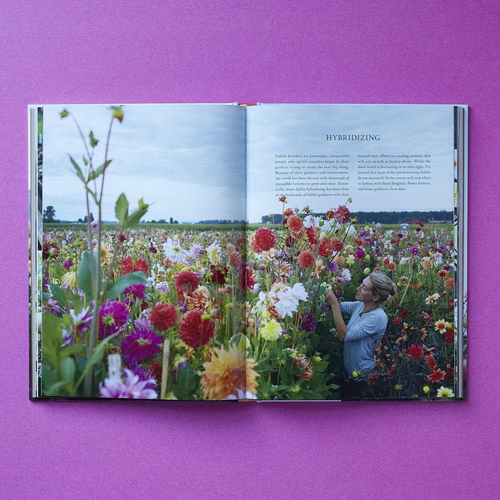 Floret Farm's Discovering Dahlias | Chronicle Books