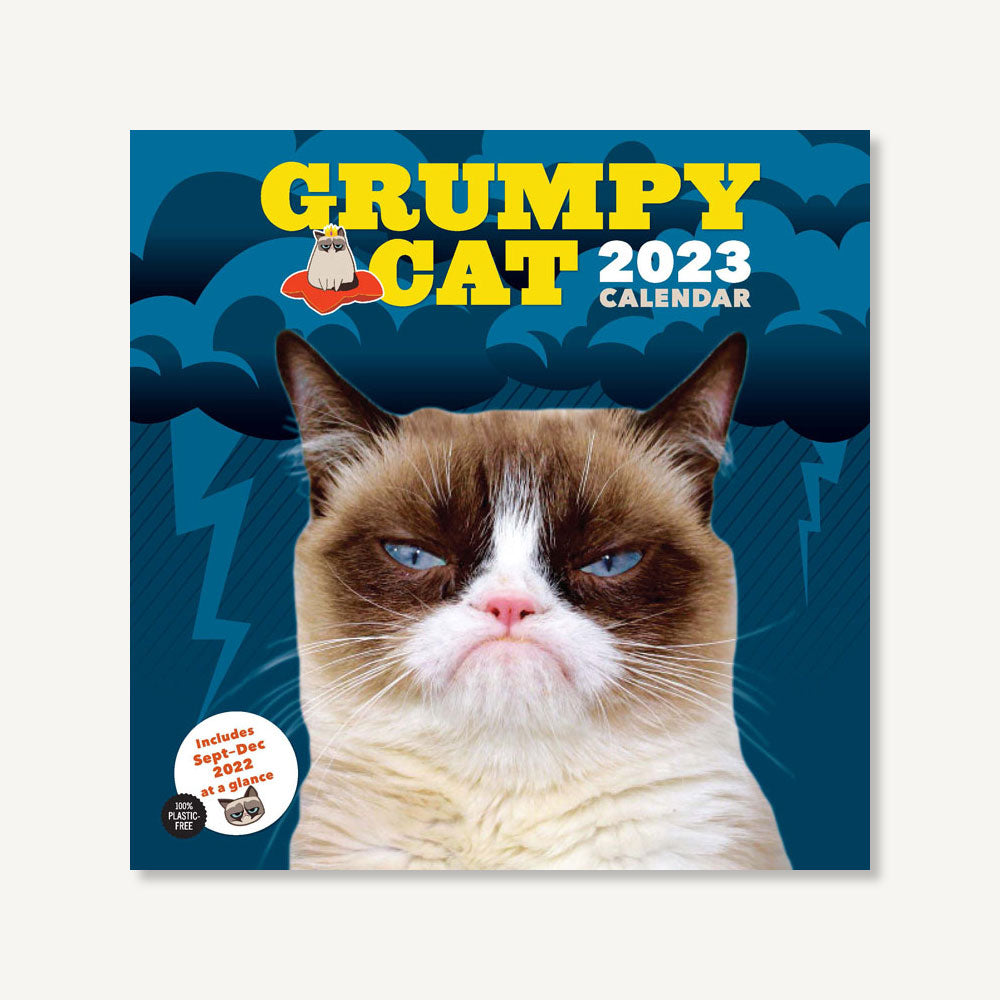 Grumpy Cat Wall Calendar 2024 Becki Aloysia