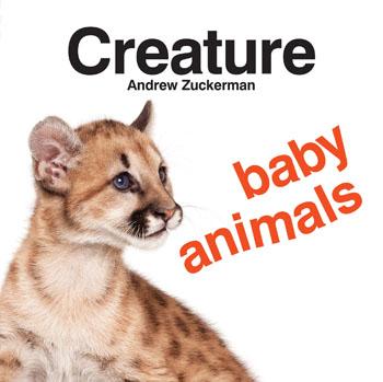 Creature Baby Animals Chronicle Books